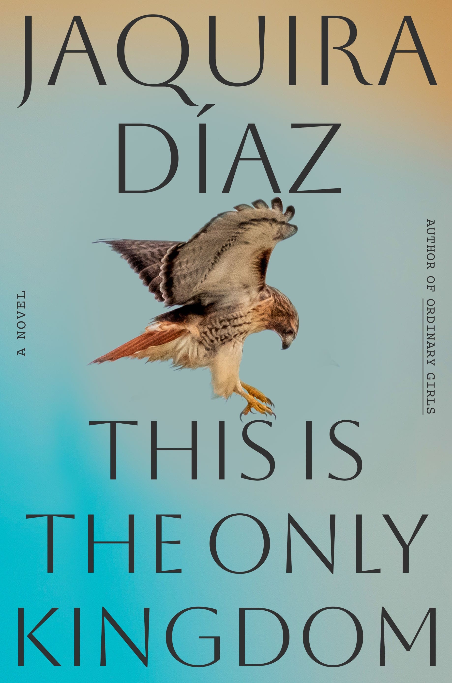 Jacquira Díaz’s ‘This is the Only Kingdom’ is a love story after the fairy tale ends